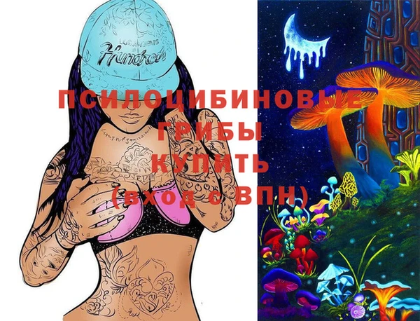 ГАЛЛЮЦИНОГЕННЫЕ ГРИБЫ Балахна