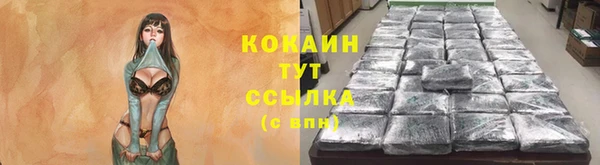 ГАЛЛЮЦИНОГЕННЫЕ ГРИБЫ Балахна