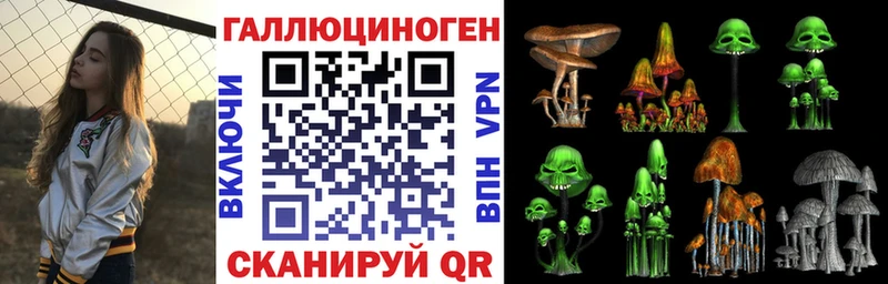 где найти наркотики  Борисоглебск  Псилоцибиновые грибы Psilocybe 
