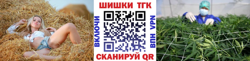 Канабис сатива  Борисоглебск 